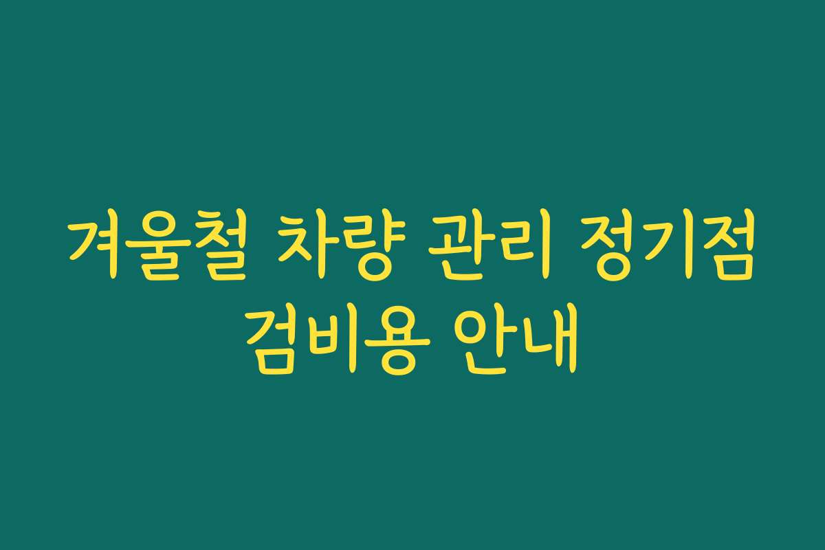 겨울철 차량 관리 정기점검비용 안내
