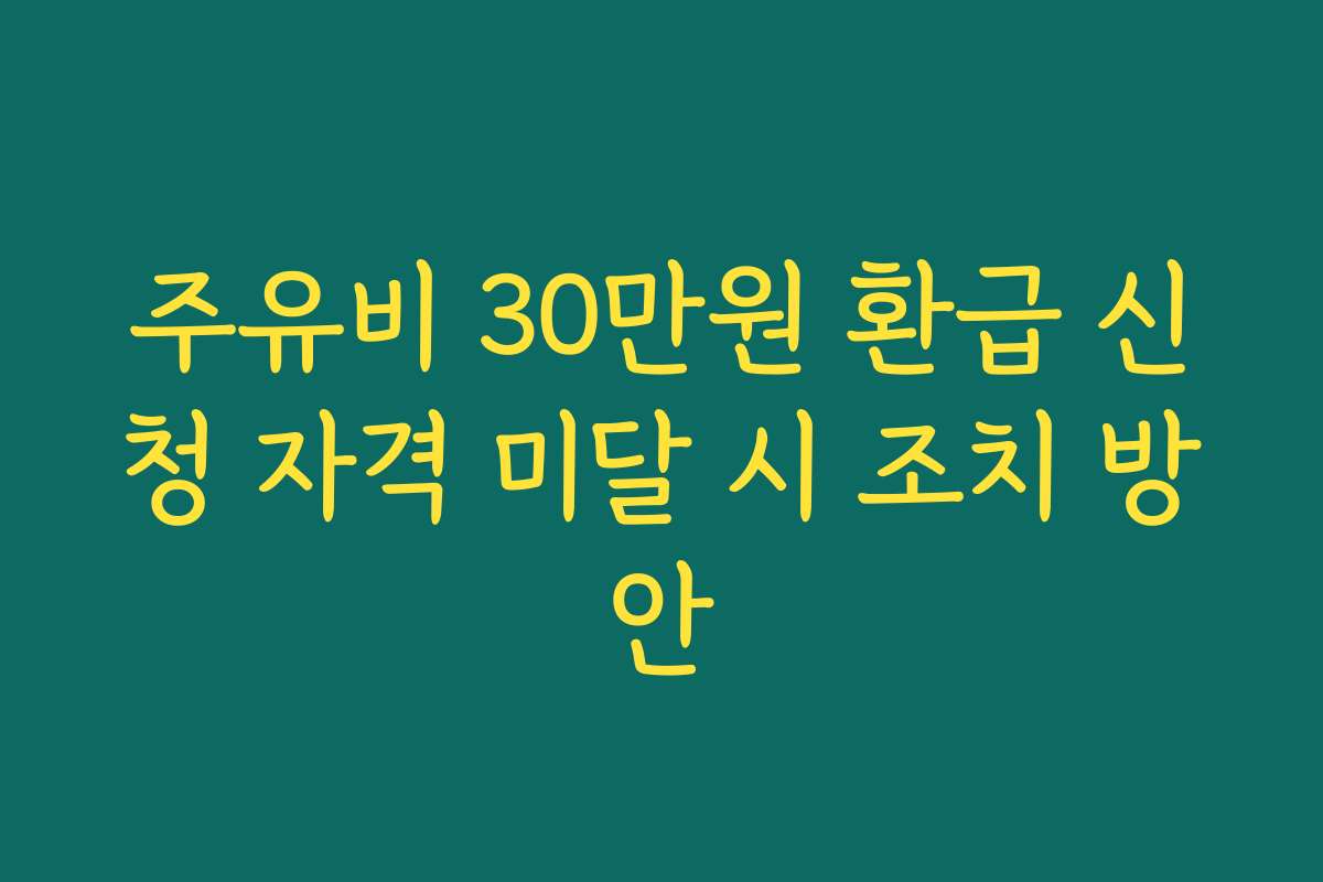 주유비 30만원 환급 신청 자격 미달 시 조치 방안