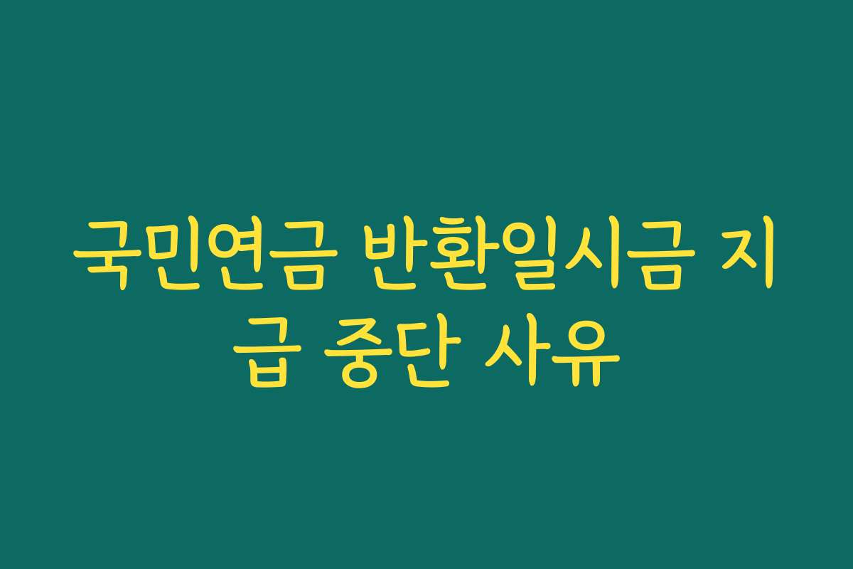 국민연금 반환일시금 지급 중단 사유