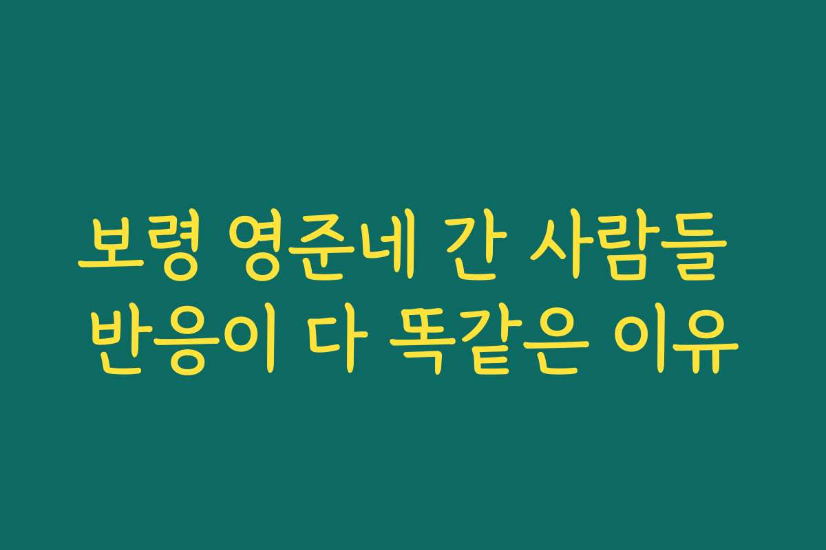 보령 영준네 간 사람들 반응이 다 똑같은 이유