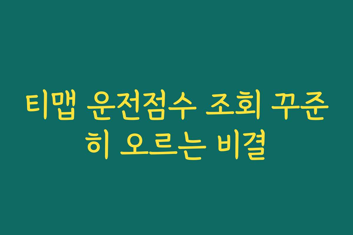 티맵 운전점수 조회 꾸준히 오르는 비결