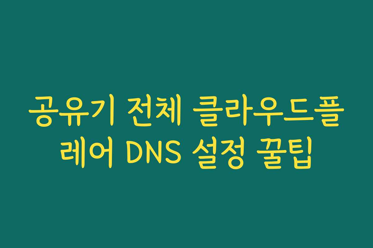 공유기 전체 클라우드플레어 DNS 설정 꿀팁