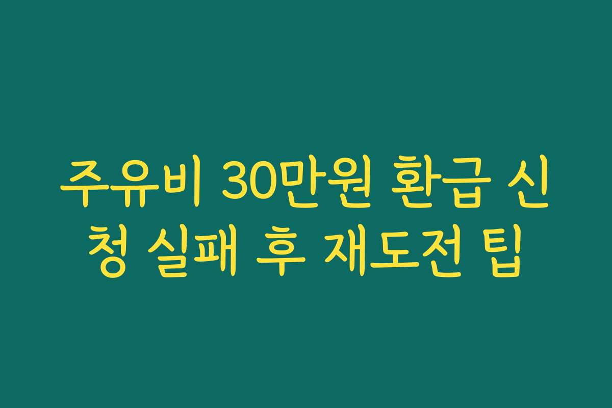 주유비 30만원 환급 신청 실패 후 재도전 팁