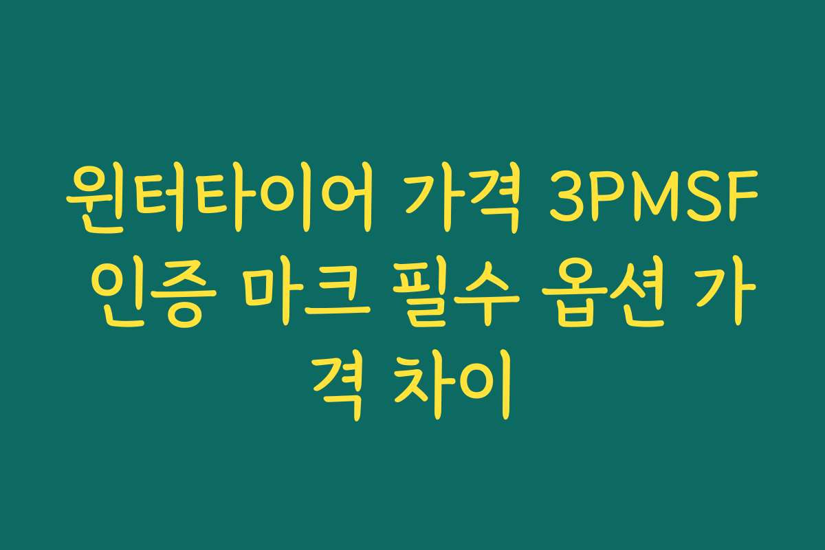 윈터타이어 가격 3PMSF 인증 마크 필수 옵션 가격 차이