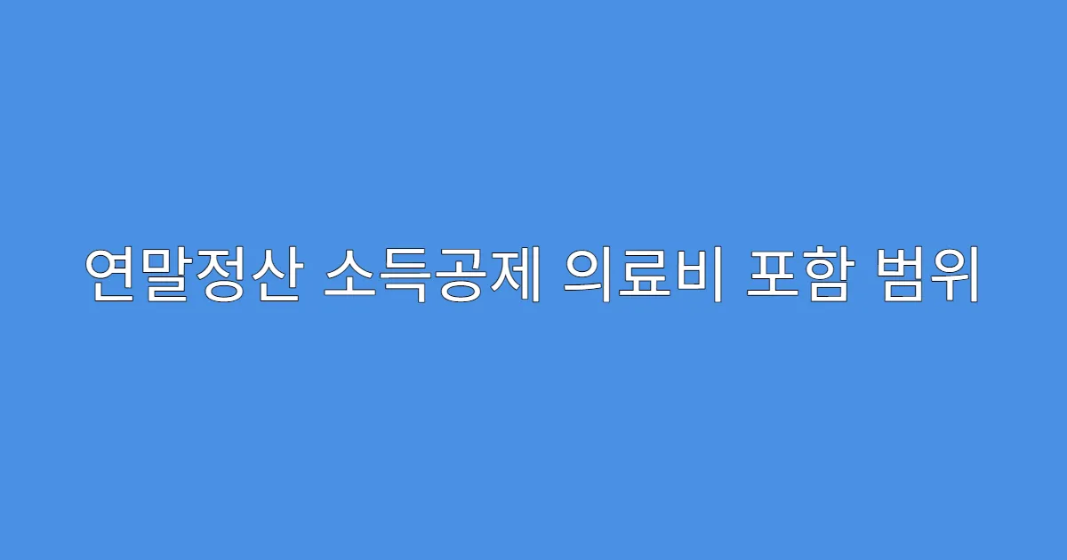 연말정산 소득공제 의료비 포함 범위