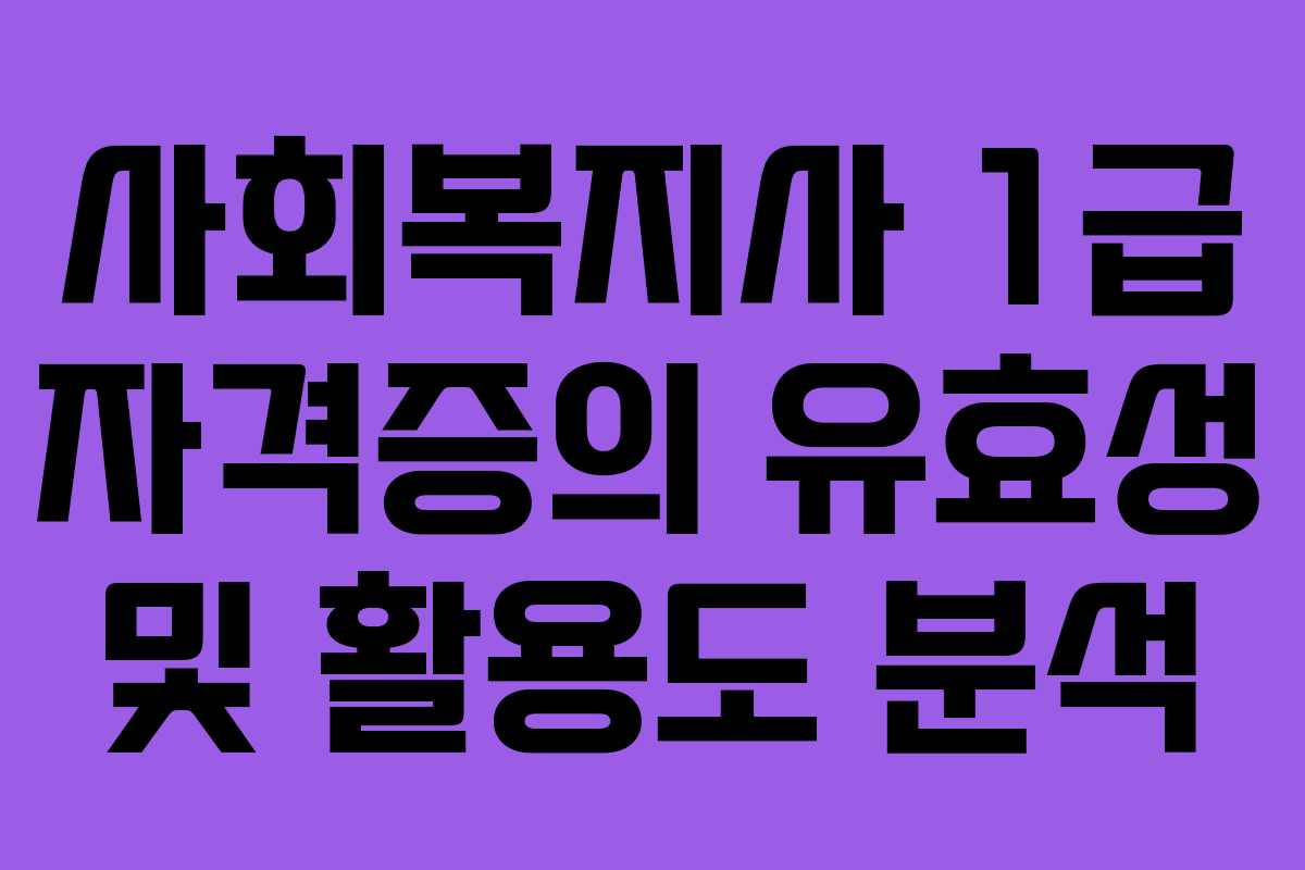 사회복지사 1급 자격증의 유효성 및 활용도 분석