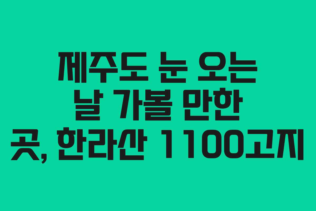 제주도 눈 오는 날 가볼 만한 곳, 한라산 1100고지