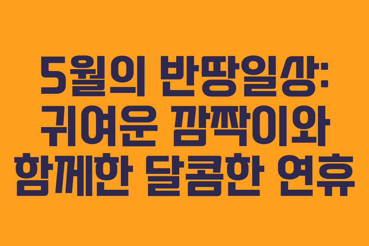 5월의 반땅일상: 귀여운 깜짝이와 함께한 달콤한 연휴