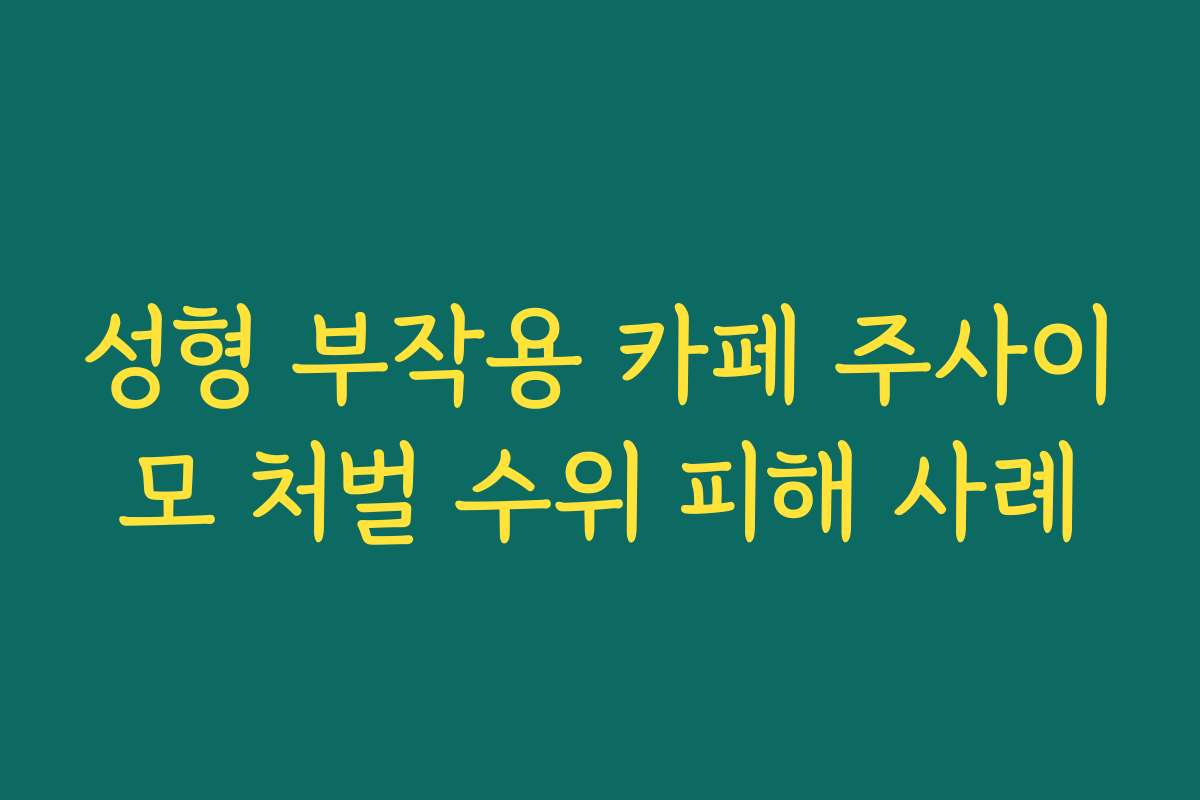 성형 부작용 카페 주사이모 처벌 수위 피해 사례