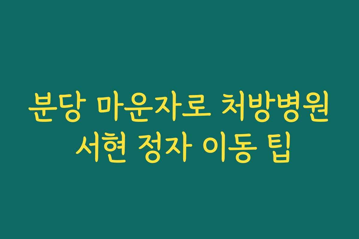 분당 마운자로 처방병원 서현 정자 이동 팁