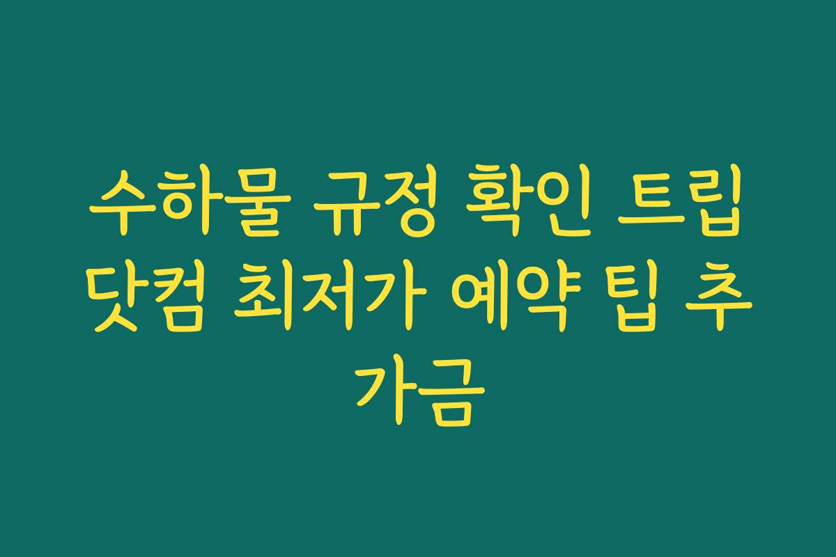 수하물 규정 확인 트립닷컴 최저가 예약 팁 추가금