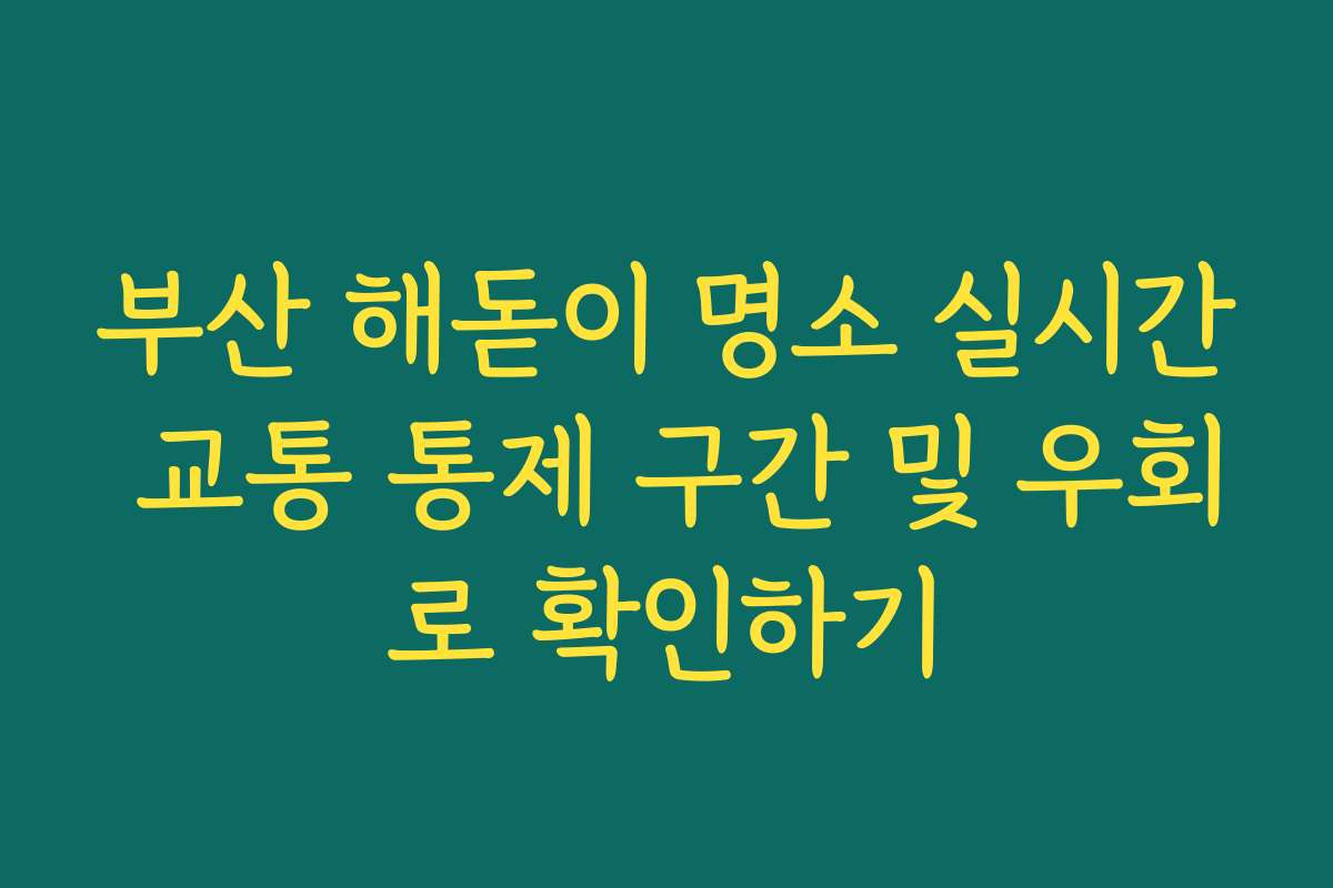 부산 해돋이 명소 실시간 교통 통제 구간 및 우회로 확인하기