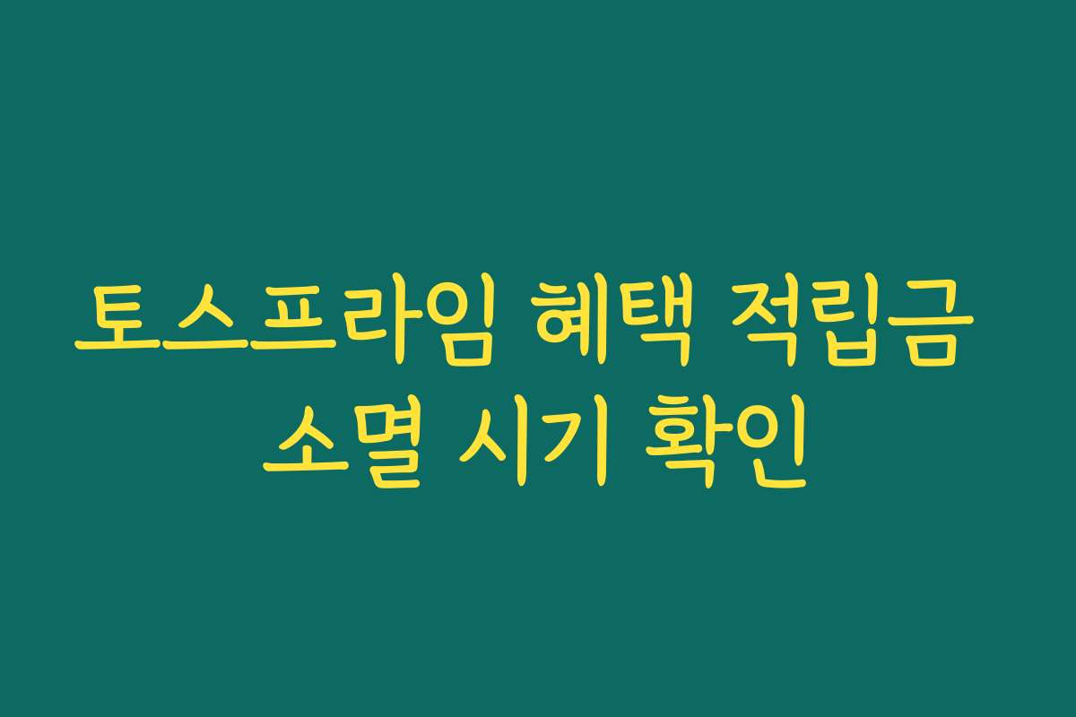 토스프라임 혜택 적립금 소멸 시기 확인