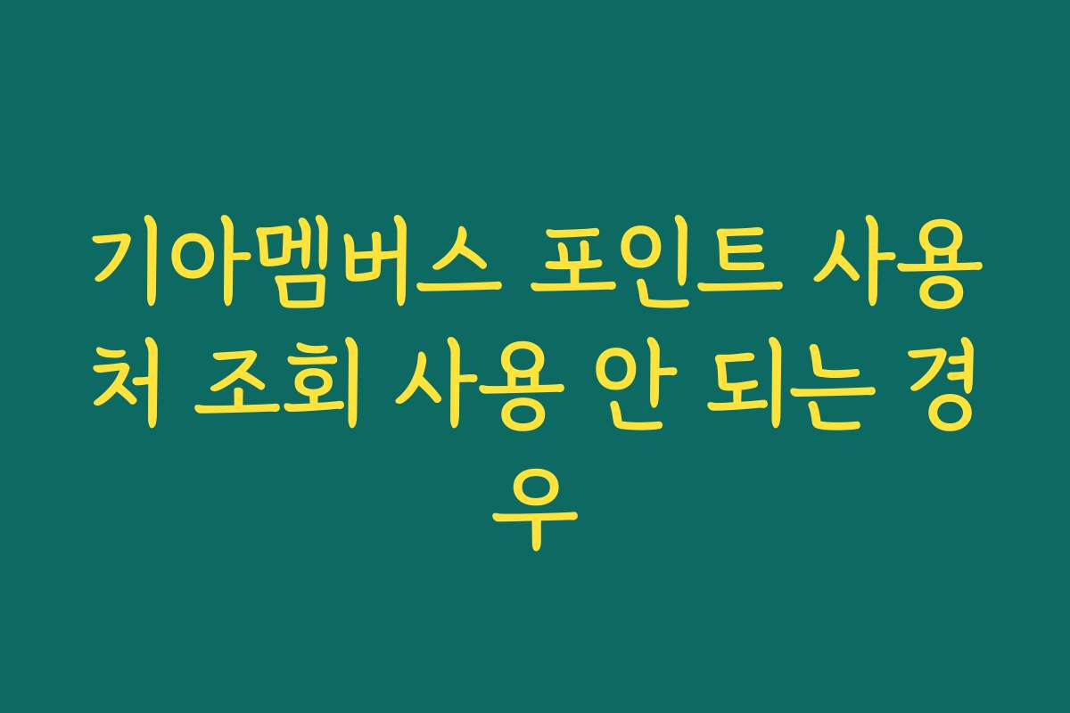 기아멤버스 포인트 사용처 조회 사용 안 되는 경우