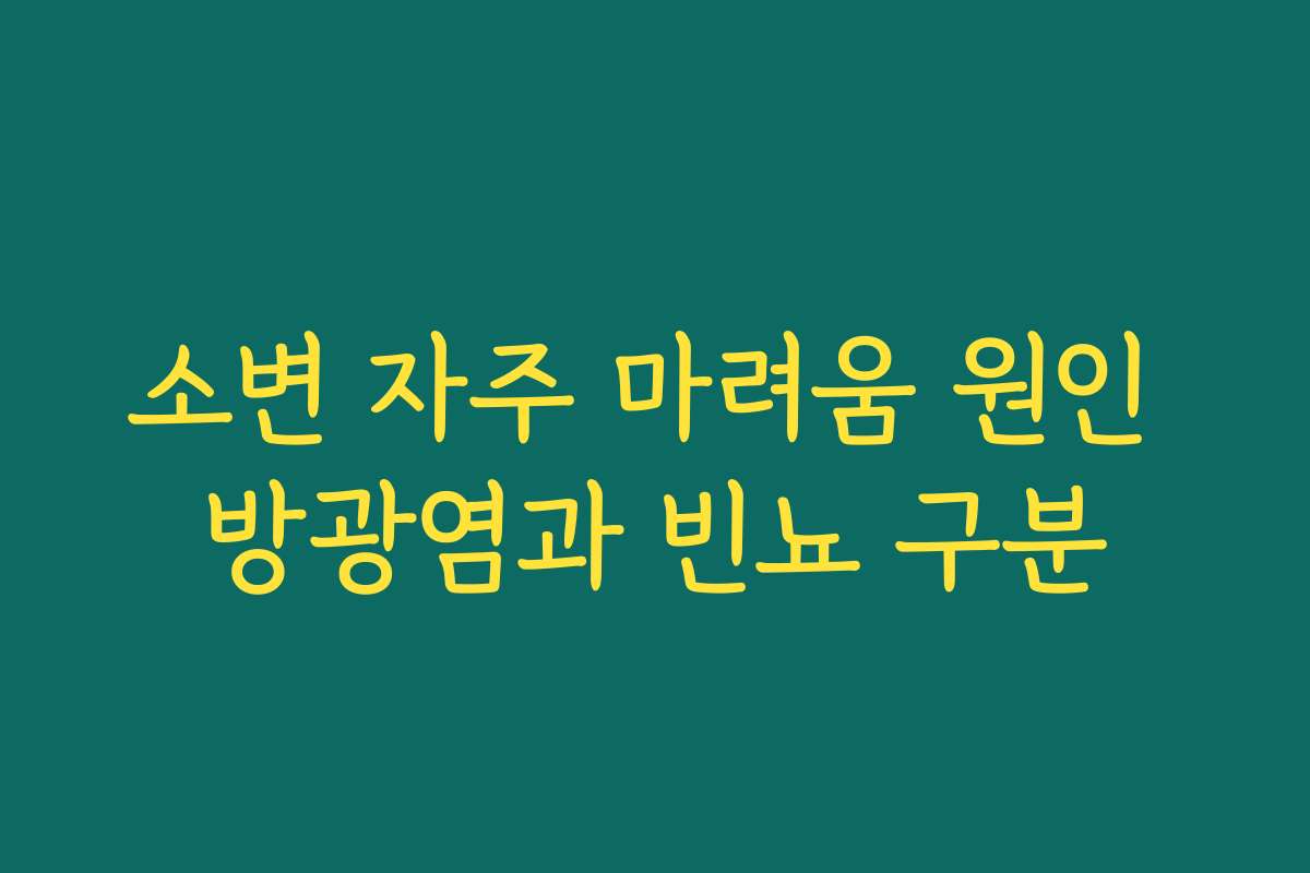 소변 자주 마려움 원인 방광염과 빈뇨 구분