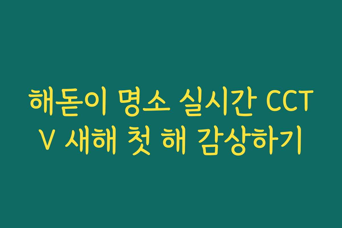 해돋이 명소 실시간 CCTV 새해 첫 해 감상하기