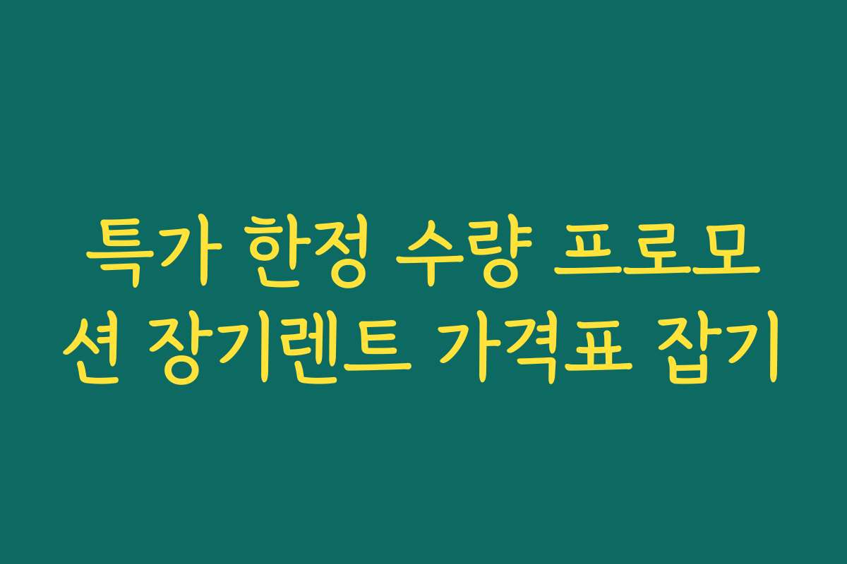 특가 한정 수량 프로모션 장기렌트 가격표 잡기