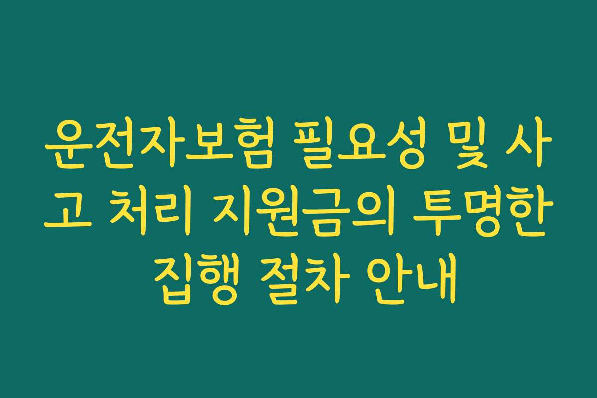 운전자보험 필요성 및 사고 처리 지원금의 투명한 집행 절차 안내