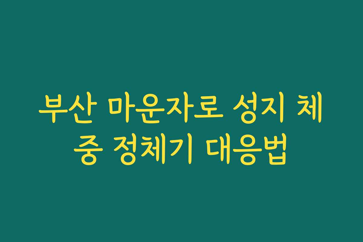 부산 마운자로 성지 체중 정체기 대응법