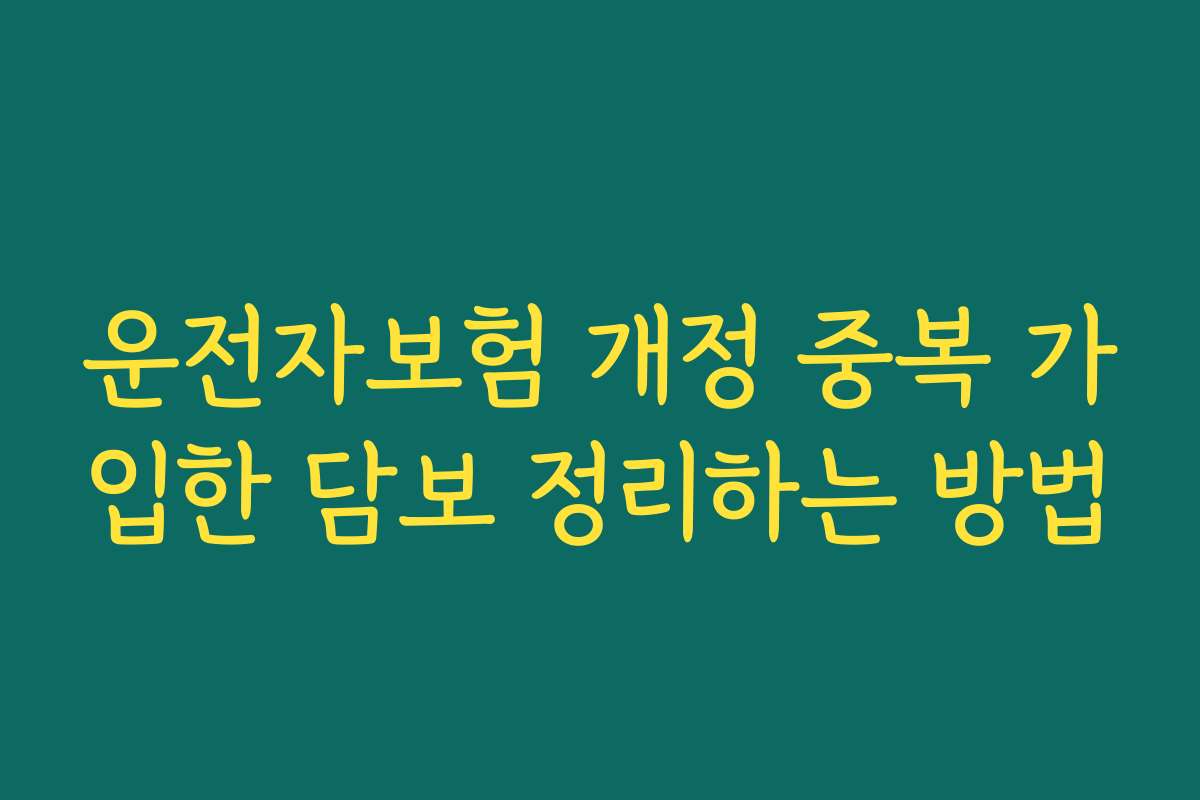 운전자보험 개정 중복 가입한 담보 정리하는 방법