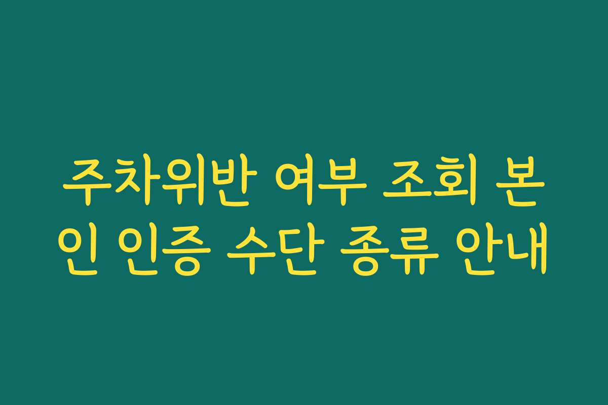 주차위반 여부 조회 본인 인증 수단 종류 안내