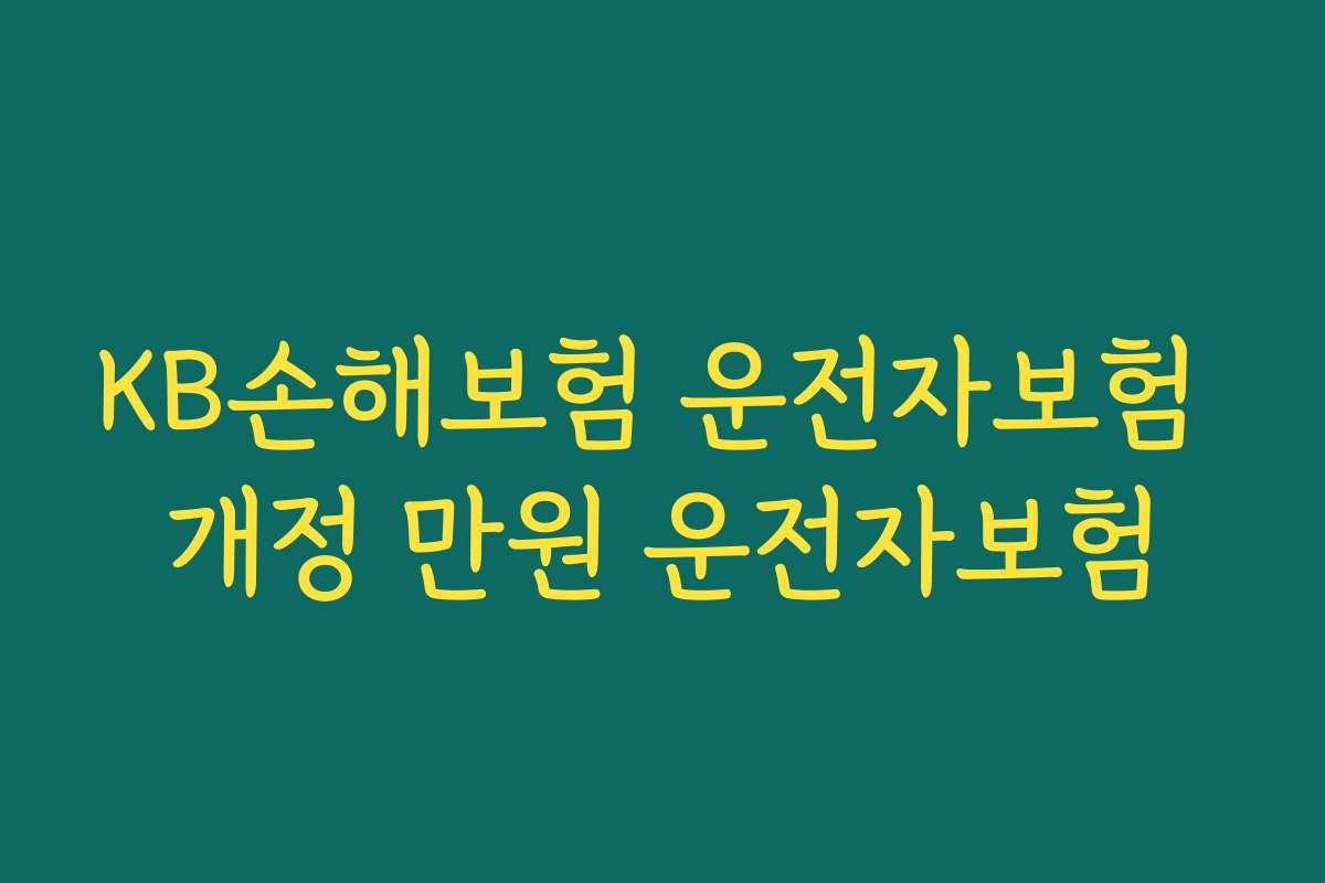 KB손해보험 운전자보험 개정 만원 운전자보험