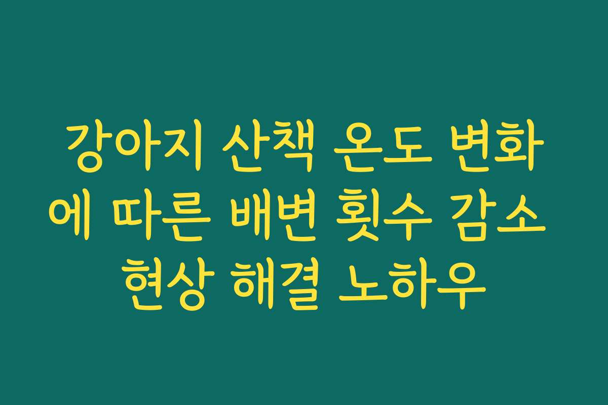 강아지 산책 온도 변화에 따른 배변 횟수 감소 현상 해결 노하우