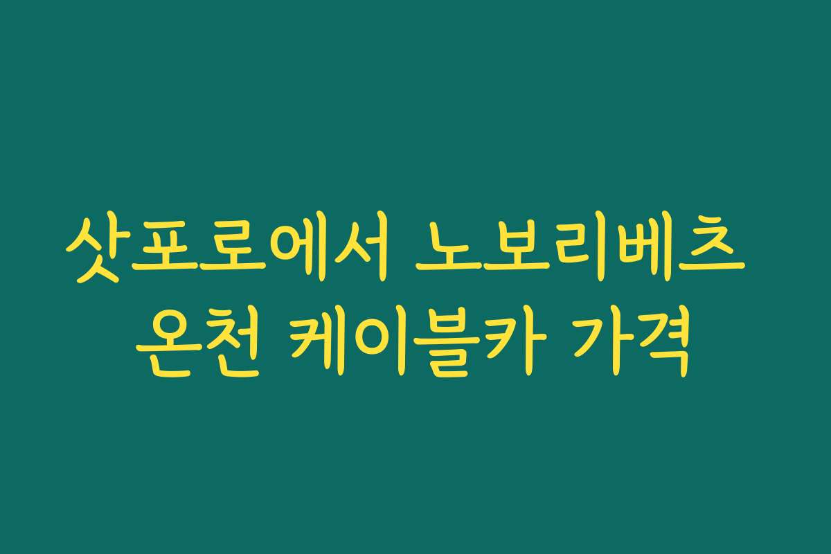 삿포로에서 노보리베츠 온천 케이블카 가격