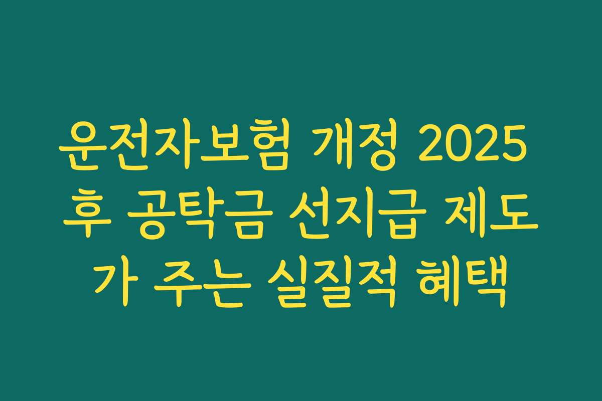 운전자보험 개정 2025 후 공탁금 선지급 제도가 주는 실질적 혜택