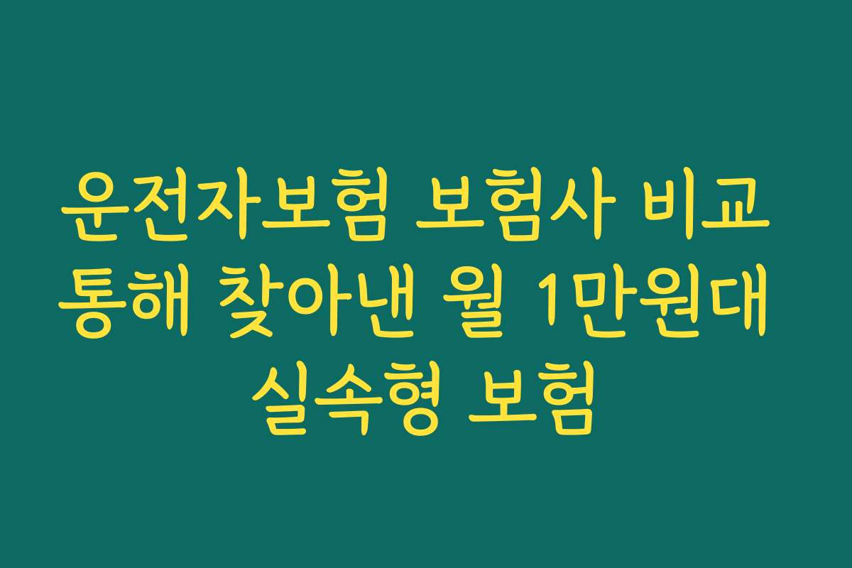 운전자보험 보험사 비교 통해 찾아낸 월 1만원대 실속형 보험