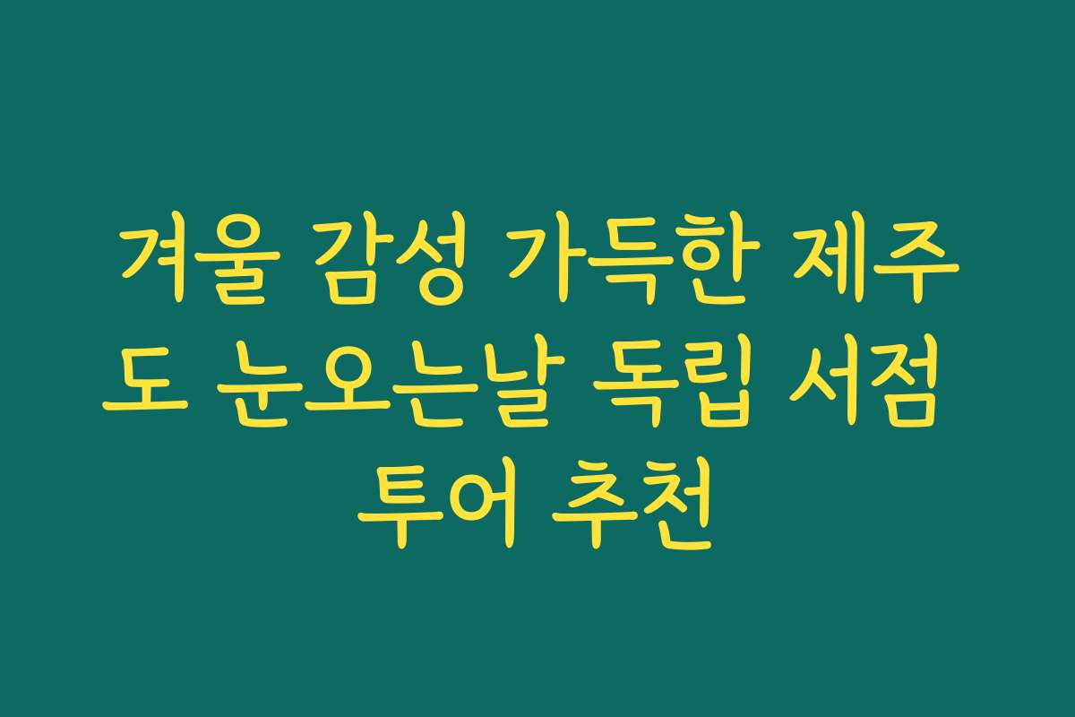 겨울 감성 가득한 제주도 눈오는날 독립 서점 투어 추천