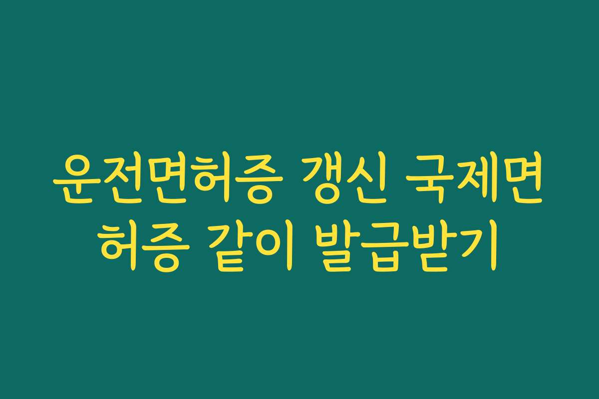 운전면허증 갱신 국제면허증 같이 발급받기