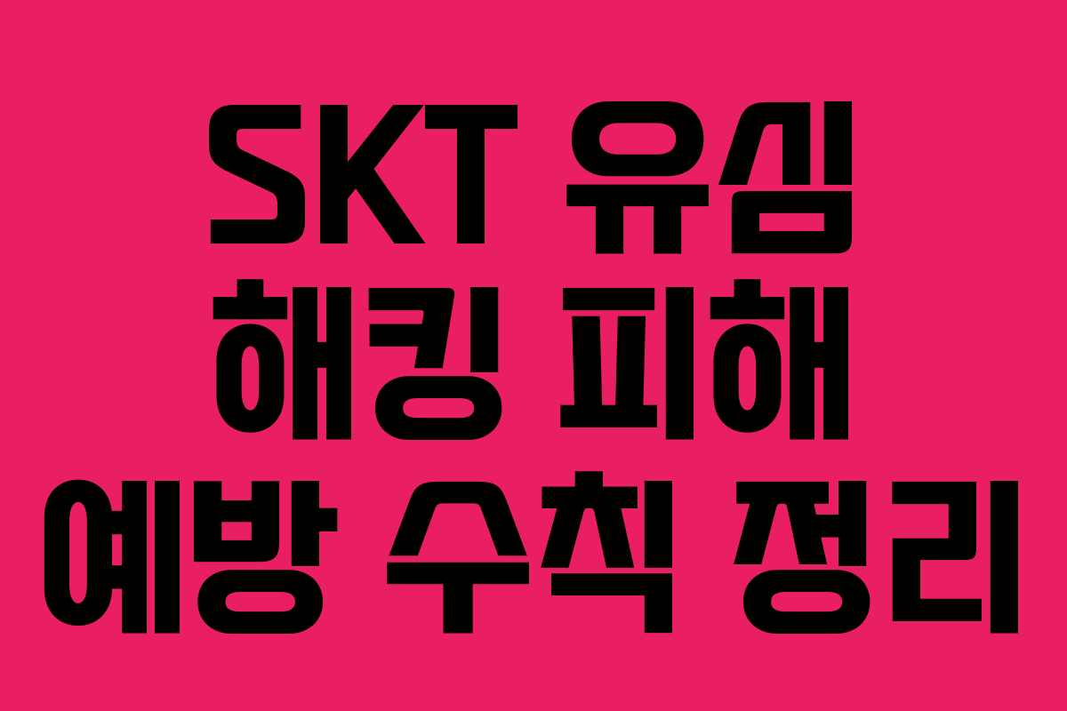 SKT 유심 해킹 피해 예방 수칙 정리