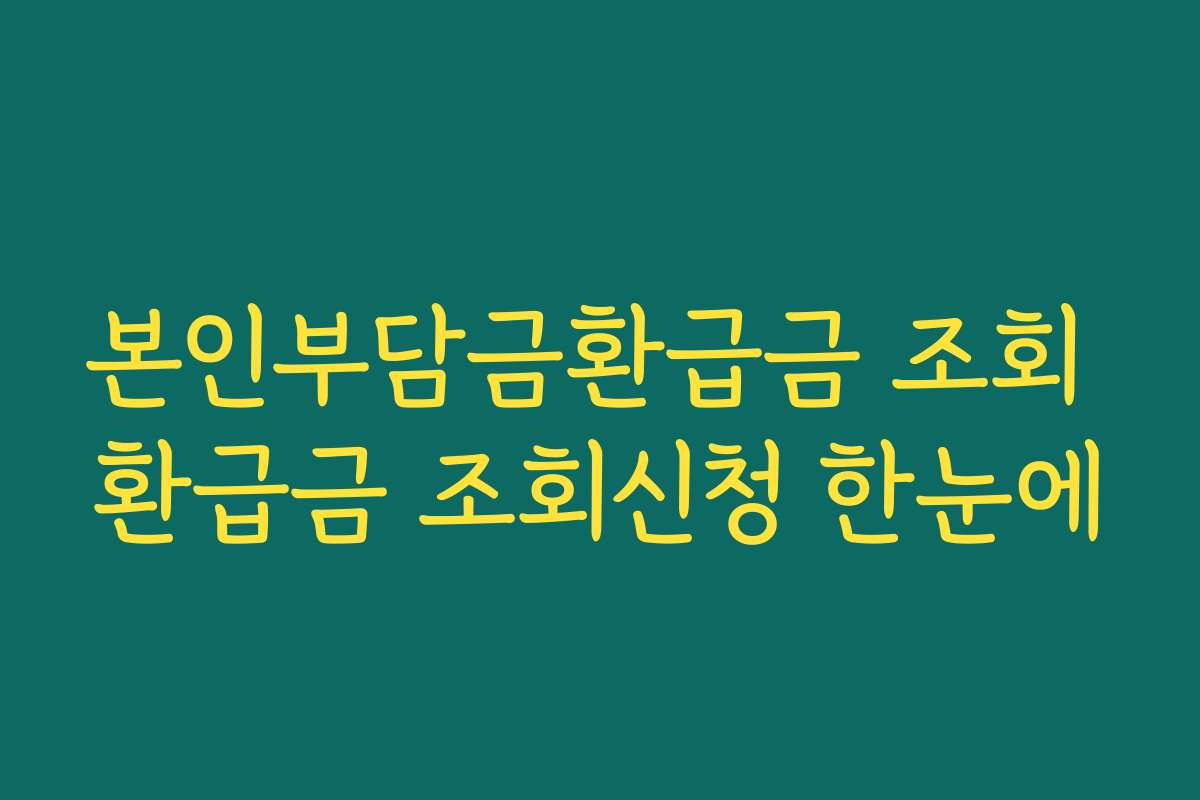 본인부담금환급금 조회 환급금 조회신청 한눈에