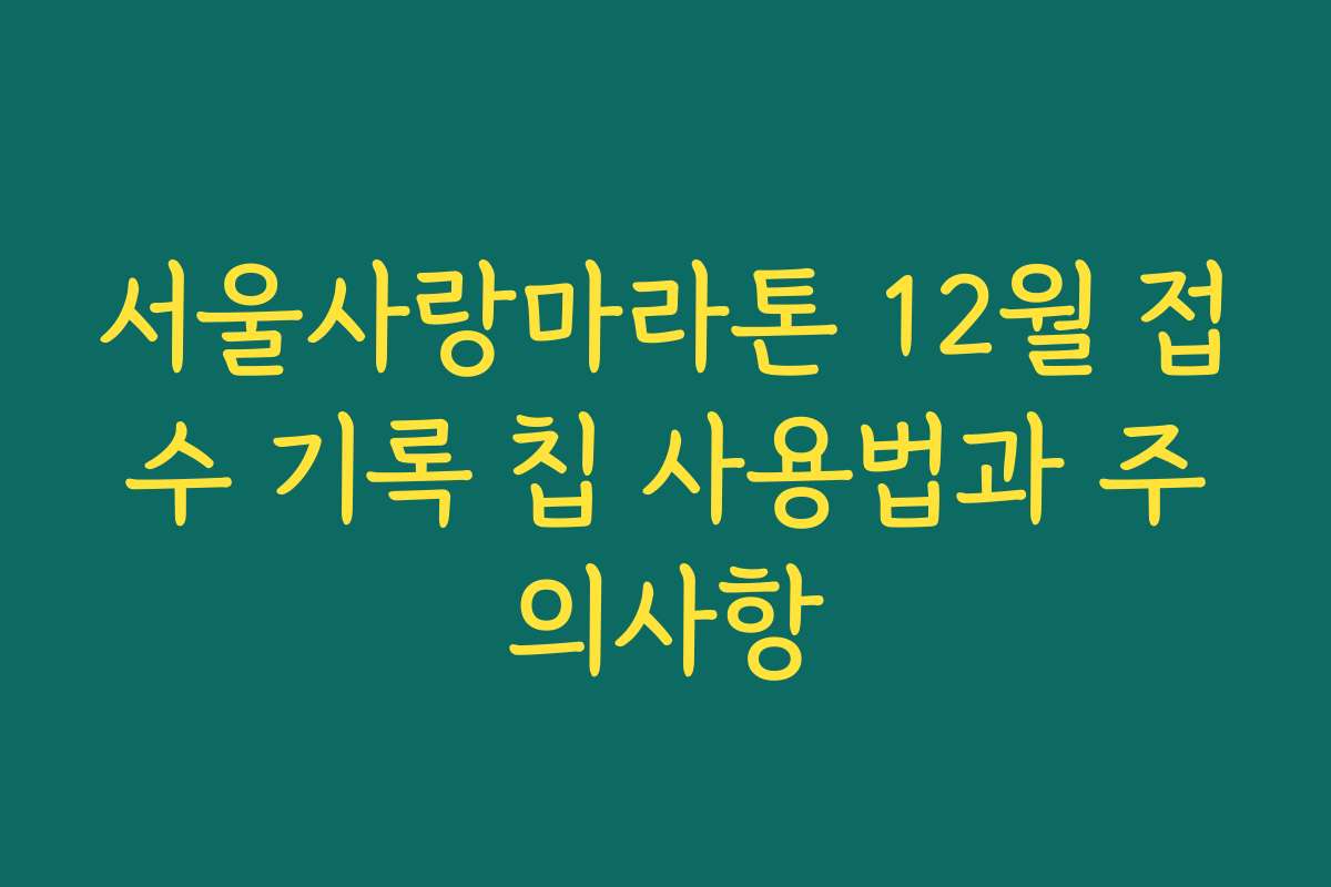 서울사랑마라톤 12월 접수 기록 칩 사용법과 주의사항