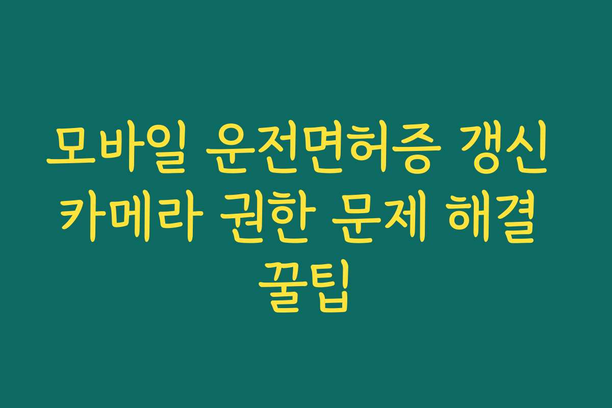 모바일 운전면허증 갱신 카메라 권한 문제 해결 꿀팁