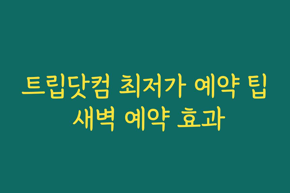 트립닷컴 최저가 예약 팁 새벽 예약 효과