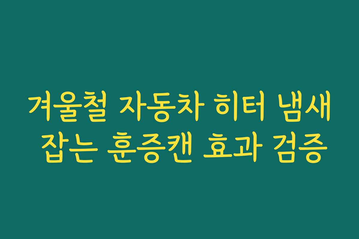 겨울철 자동차 히터 냄새 잡는 훈증캔 효과 검증