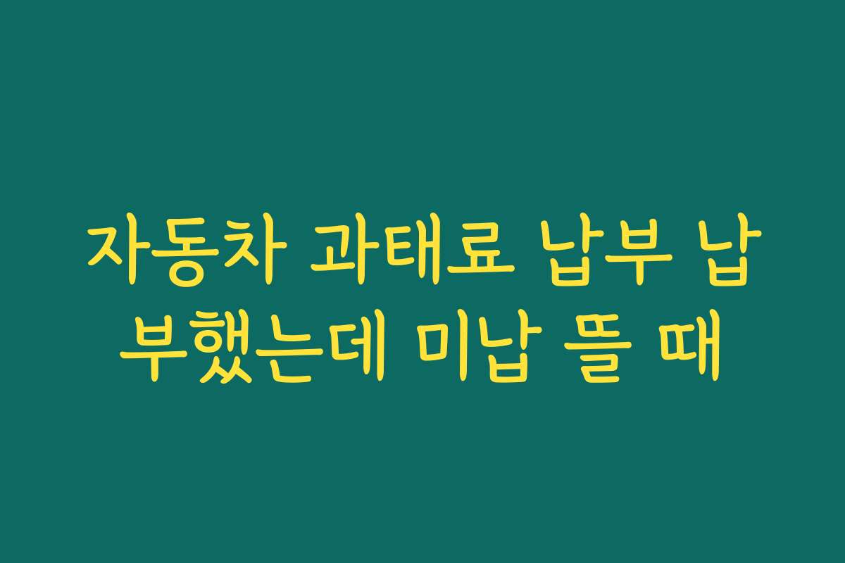 자동차 과태료 납부 납부했는데 미납 뜰 때