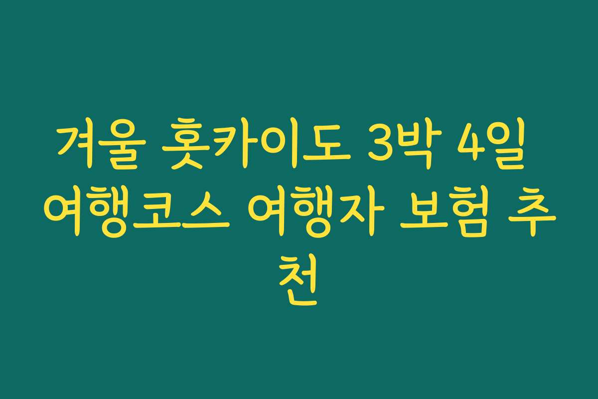 겨울 홋카이도 3박 4일 여행코스 여행자 보험 추천