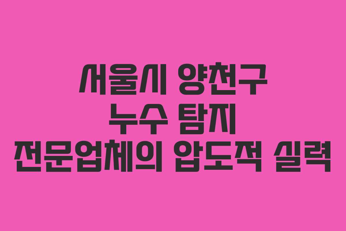 서울시 양천구 누수 탐지 전문업체의 압도적 실력