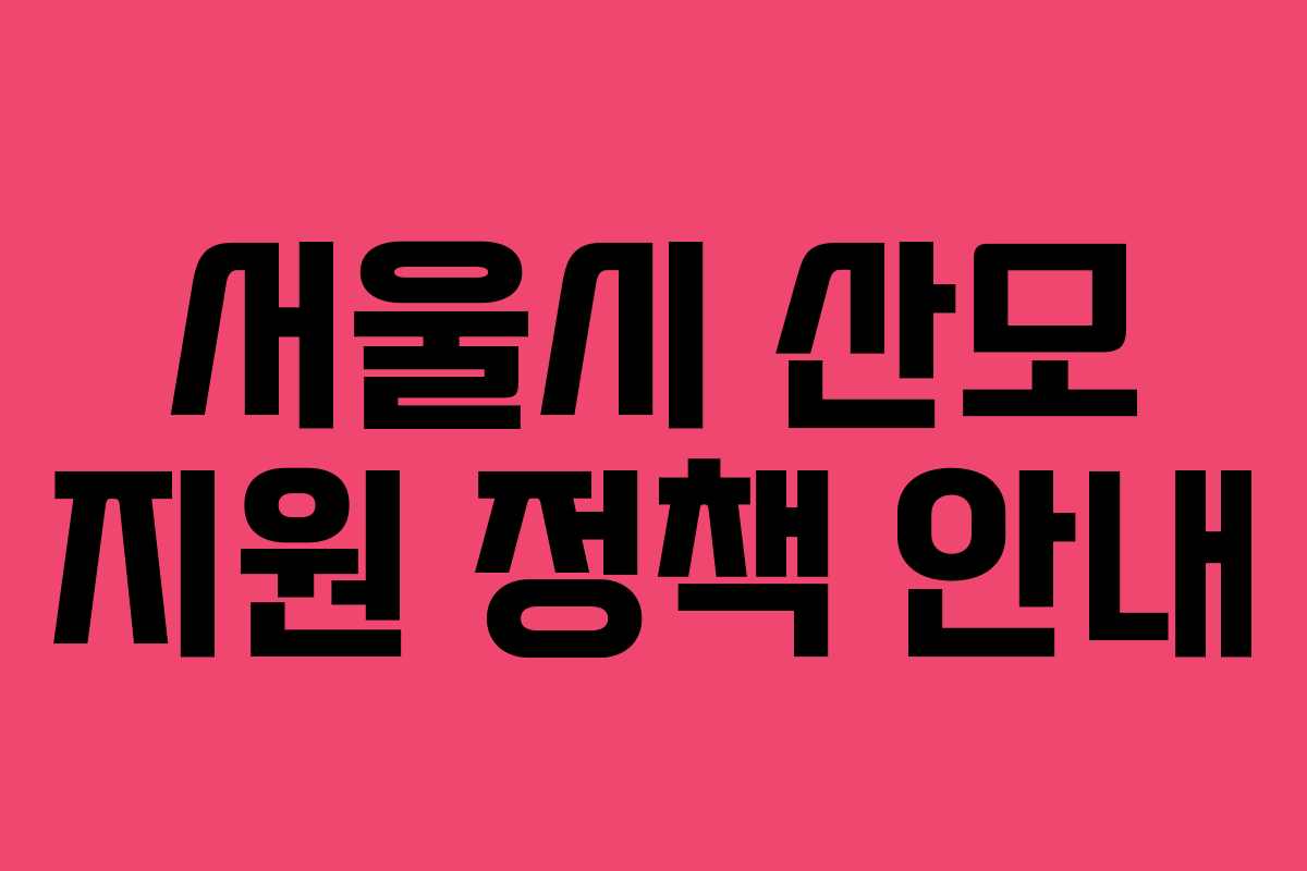 서울시 산모 지원 정책 안내