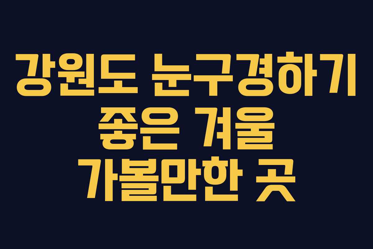 강원도 눈구경하기 좋은 겨울 가볼만한 곳