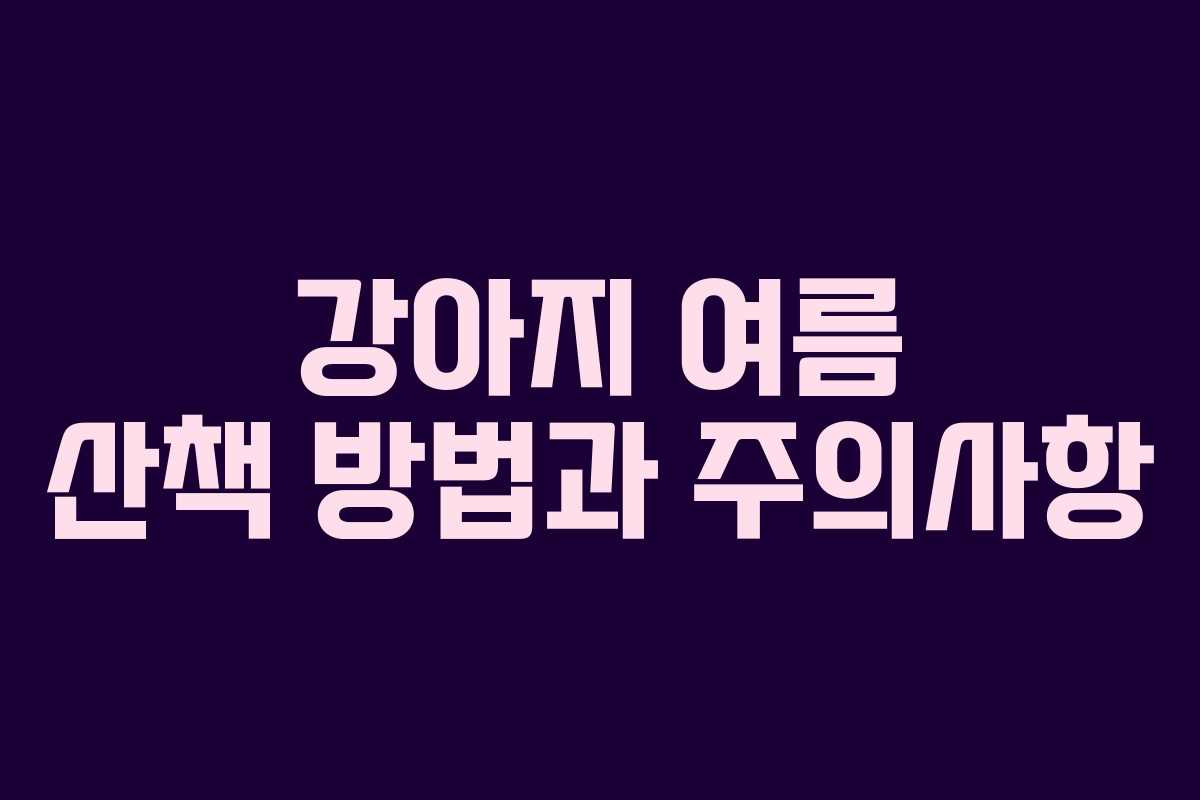 강아지 여름 산책 방법과 주의사항