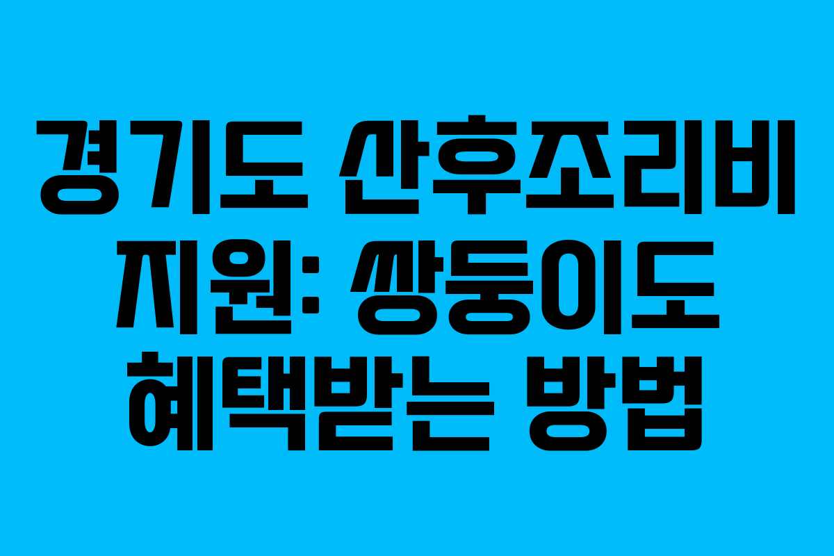 경기도 산후조리비 지원: 쌍둥이도 혜택받는 방법