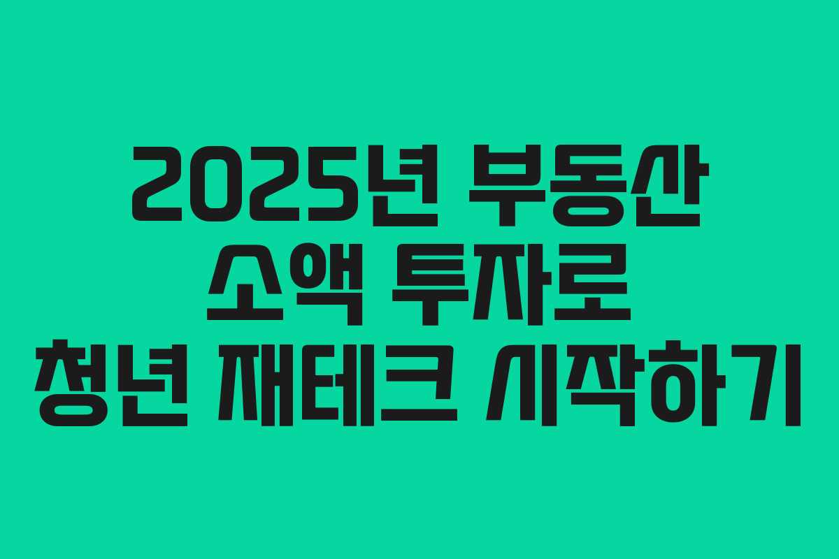 2025년 부동산 소액 투자로 청년 재테크 시작하기