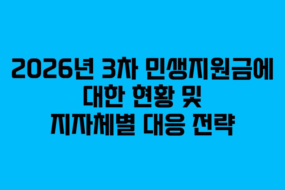 2026년 3차 민생지원금에 대한 현황 및 지자체별 대응 전략
