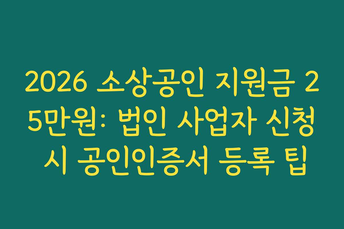 2026 소상공인 지원금 25만원: 법인 사업자 신청 시 공인인증서 등록 팁