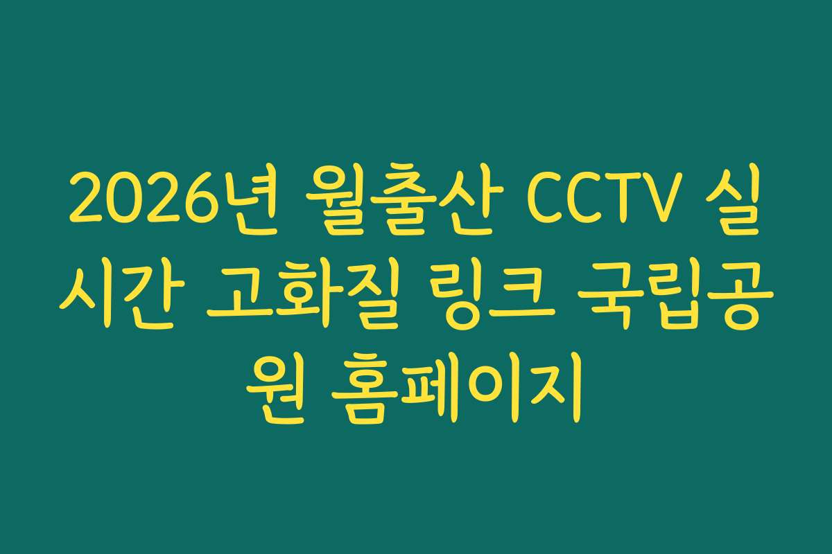 2026년 월출산 CCTV 실시간 고화질 링크 국립공원 홈페이지