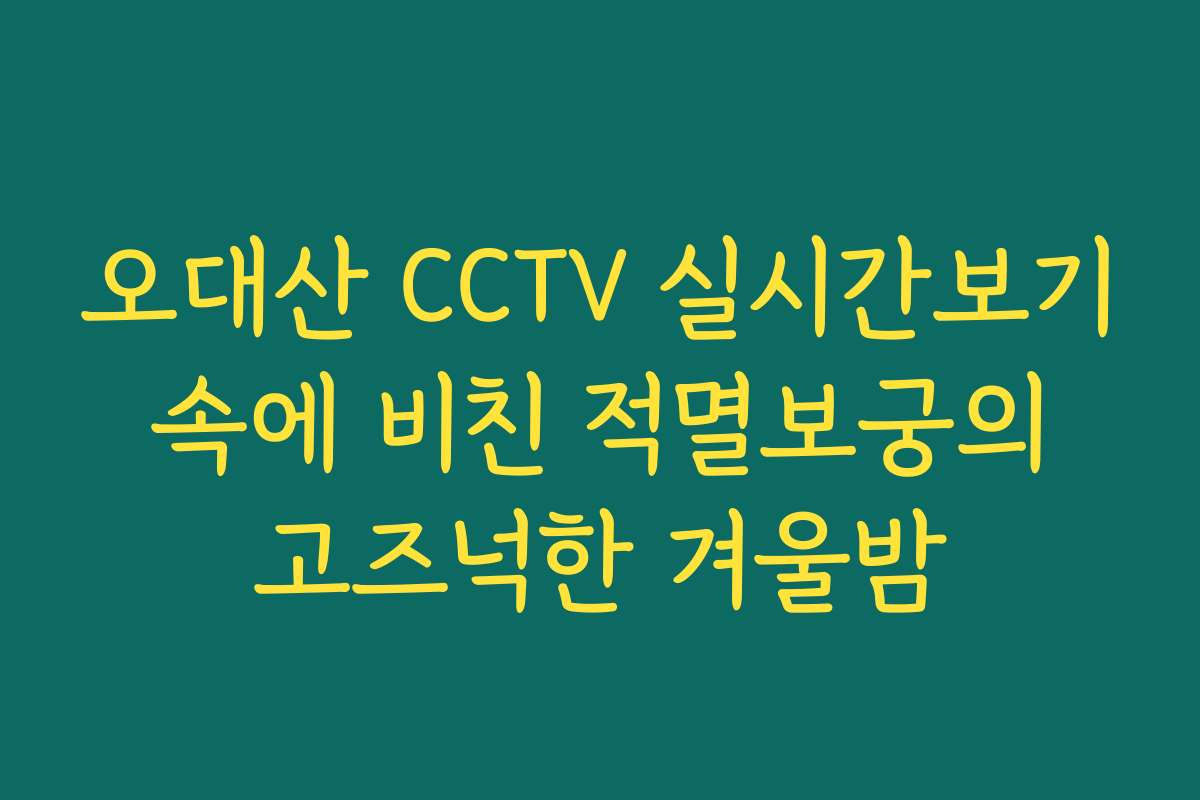 오대산 CCTV 실시간보기 속에 비친 적멸보궁의 고즈넉한 겨울밤